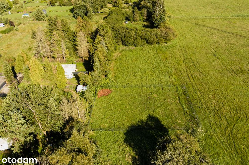 Działka NAD MORZEM – 300 m do plaży! Cisza, natura, prywatność - Widok 5