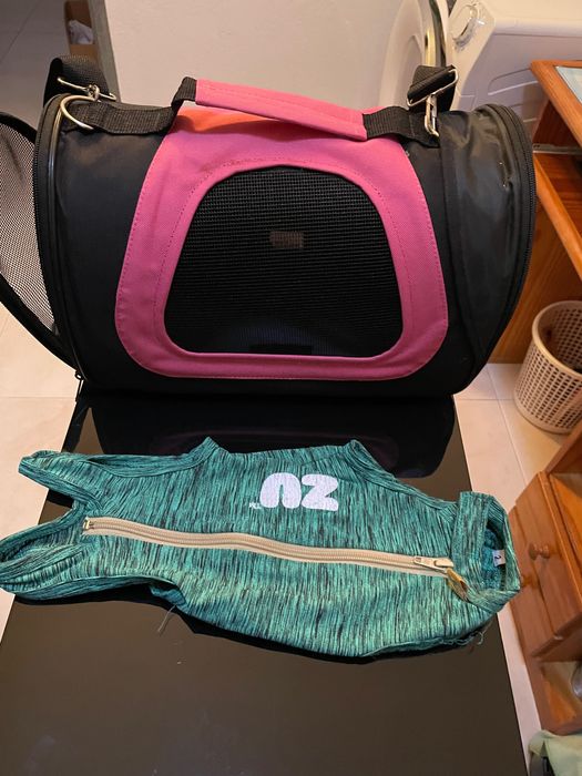 Mala para transportar gatos bebés com um body