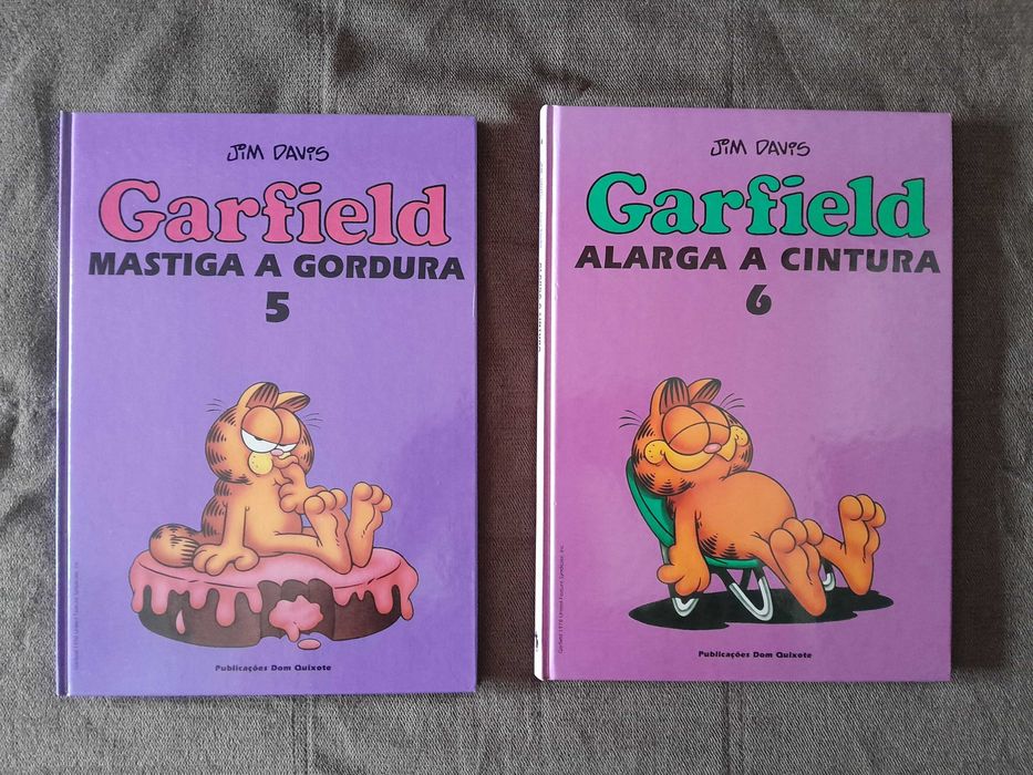 Garfield (Dom Quixote)