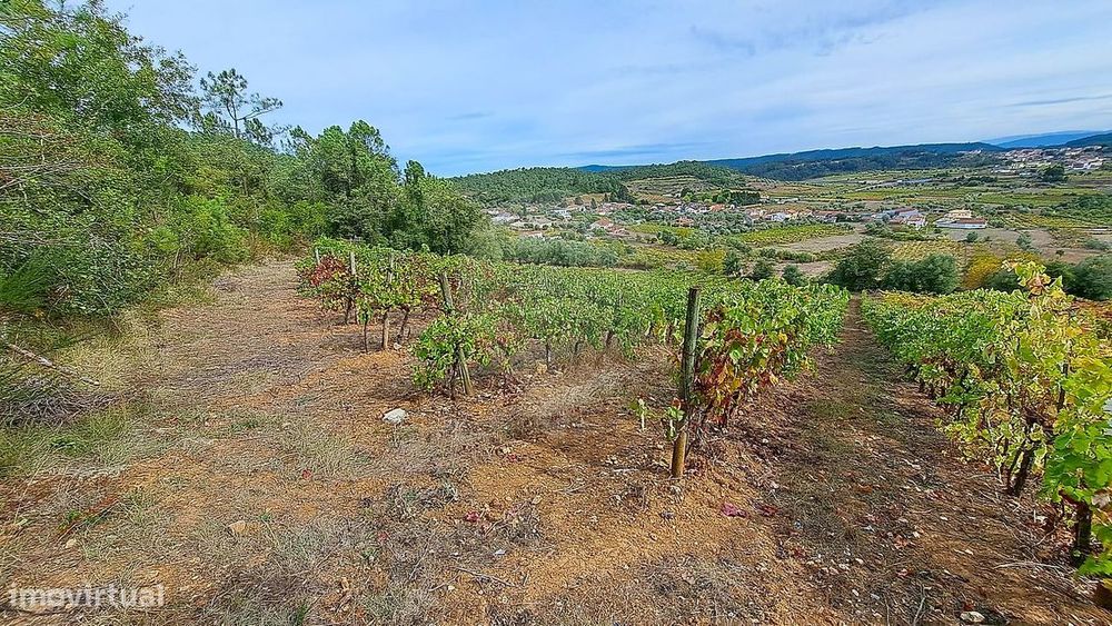 Terreno  para venda