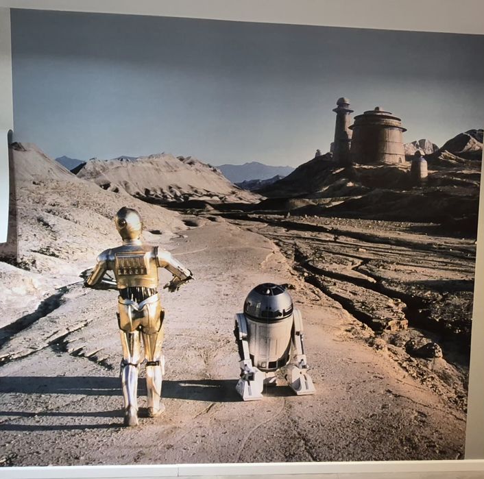 Sprzedam Fototapetę