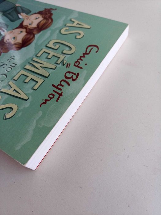 Livro "As gémeas no colégio Santa Clara" NOVO