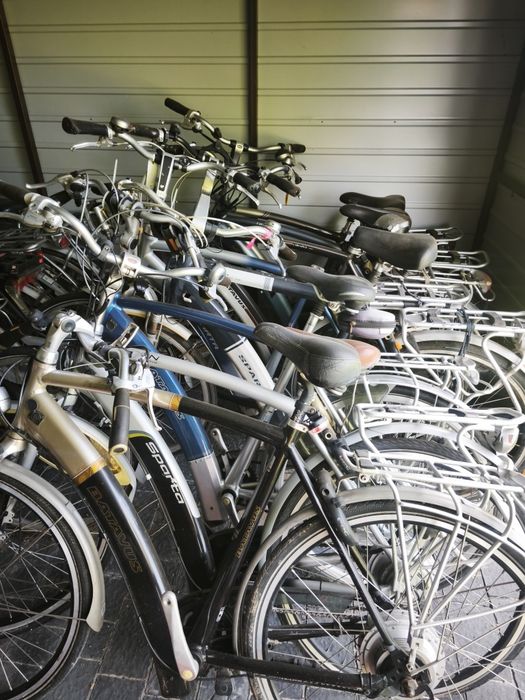 Pakiet rowerów ION Sparta Batavus 50 szt