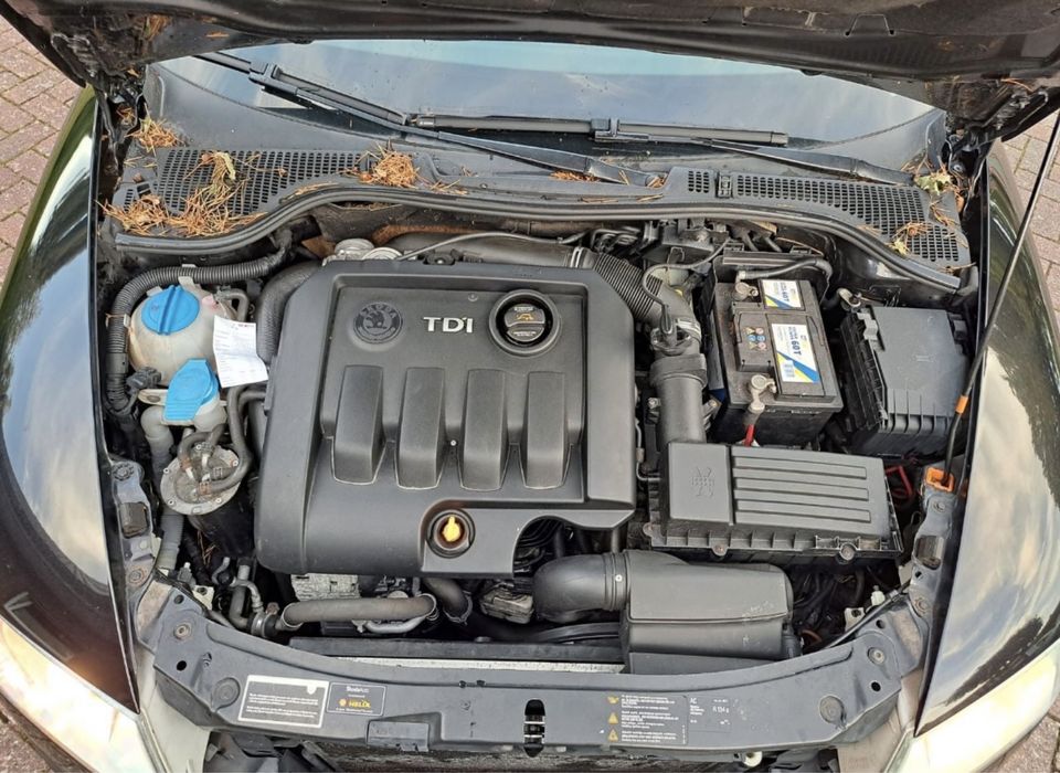 Мотор Двигун Двигатель 1.9TDI BLS Skoda Octavia Touran Caddy