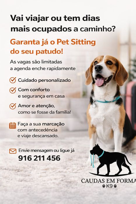 Dog walking, pet sitting