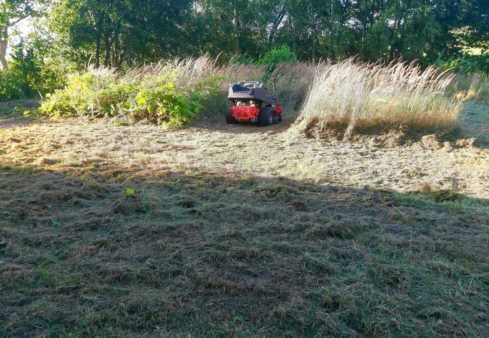 Koszenie trawy zarośli wycinka drzew,przycinka tuji, RĘBAK