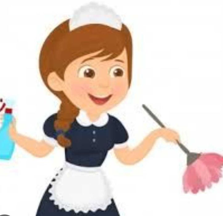 Limpezas domesticas