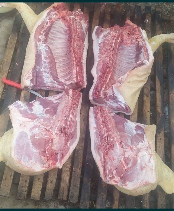 Продам домашню свинину частинами, заріз за домовленістю є доставка.