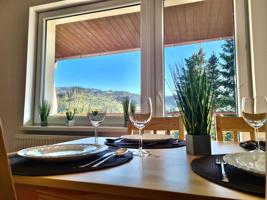 Noclegi Wisła - Apartamenty Willa NaSkarpie | Jacuzzi, Sauna, Basen