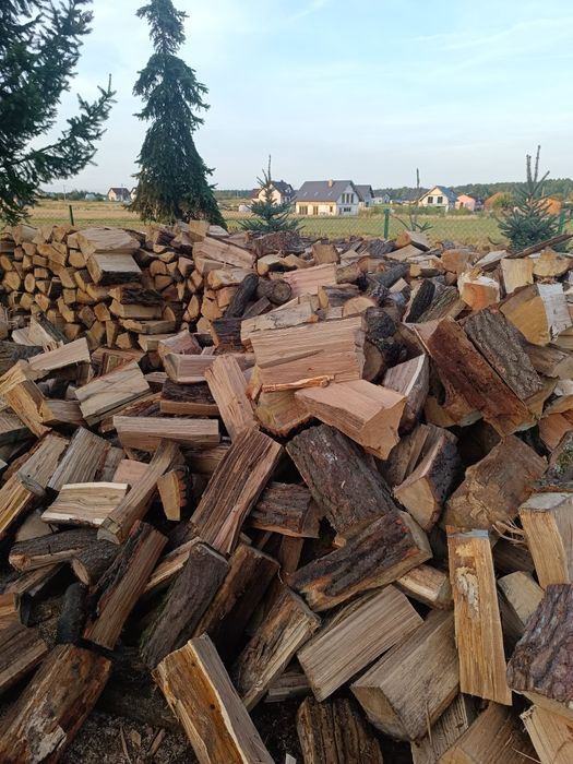Drewno opałowe i kominkowe wycinka drzew