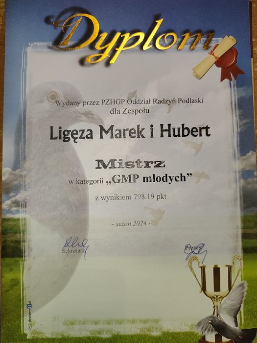 Młode gołębie pocztowe – 2026