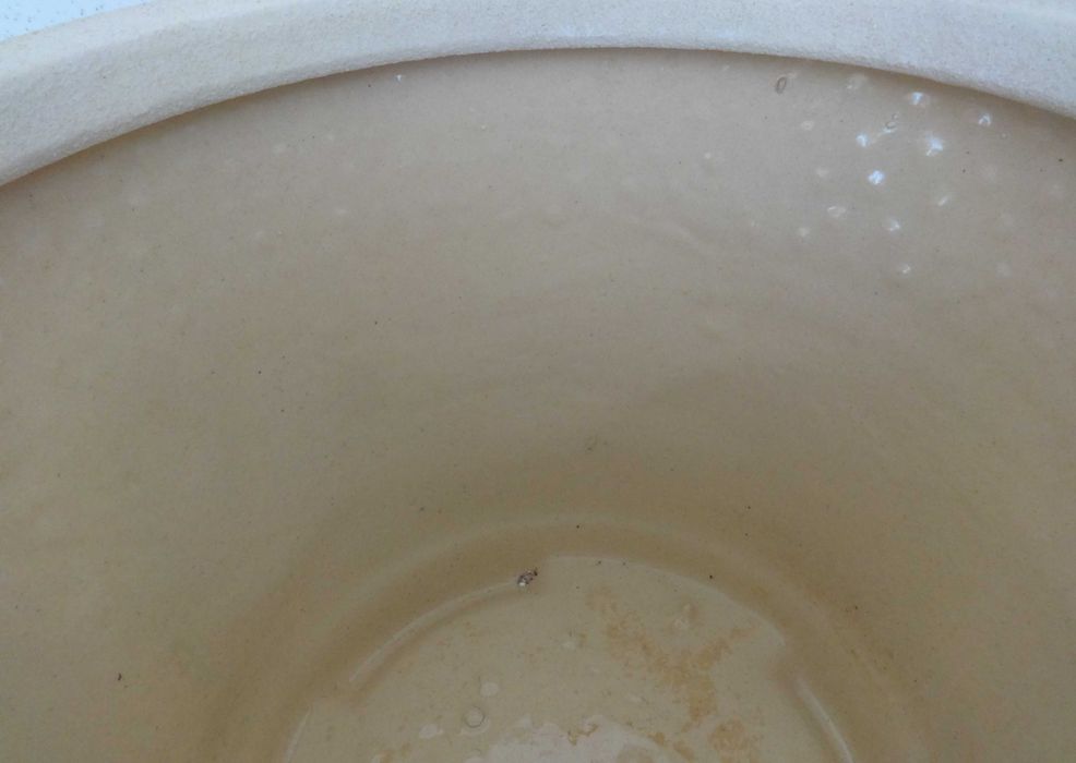 Vaso decorativo grande para flores