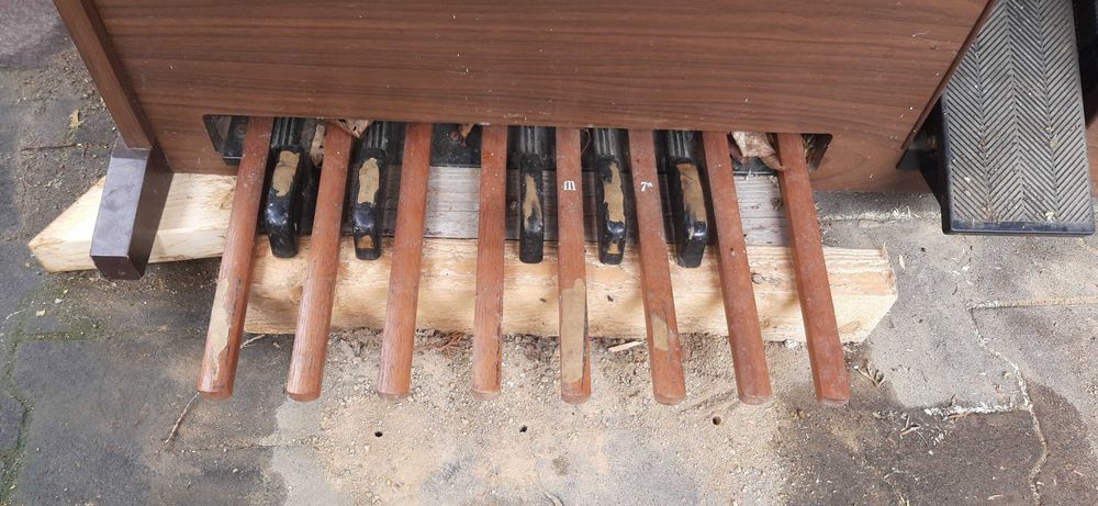 Organy  elektroniczne GEM WIZARD326