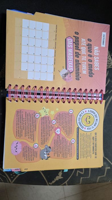 Agenda 2026 mr.wonderfull