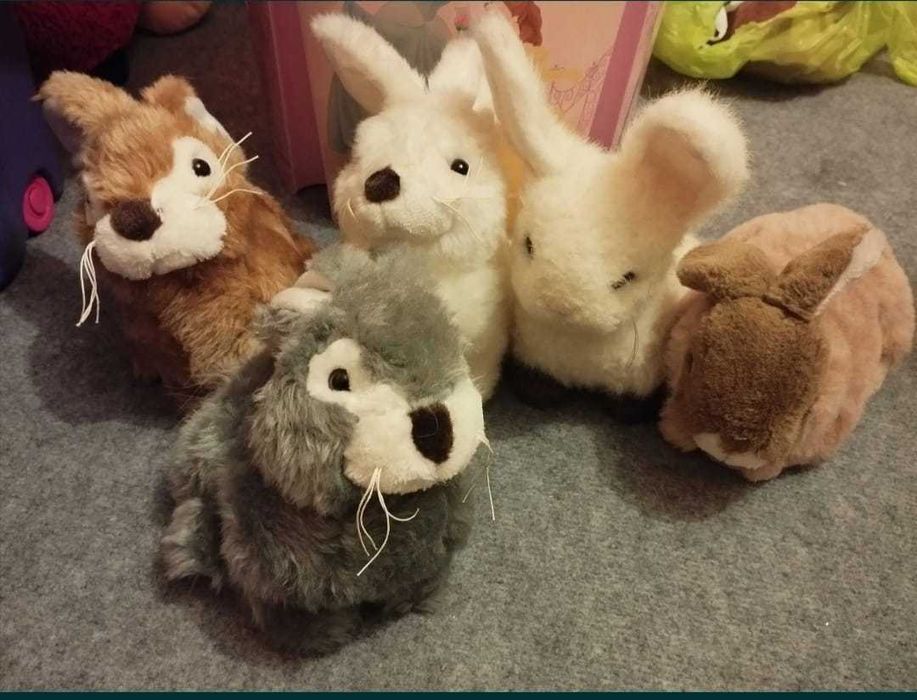 Maskotki, króliczki królik, zając