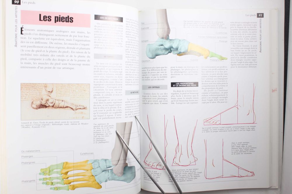 Manuel de L'Anatomie artistique > praca zbiorowa