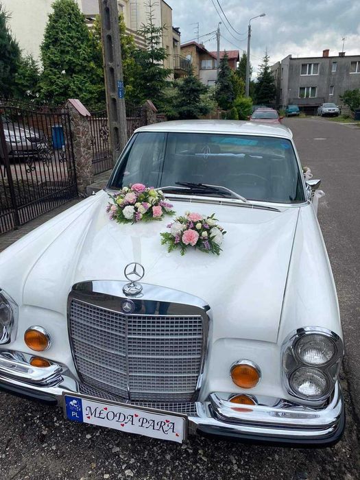 Piękne stare auto do ślubu Mercedes S-klasa WOLNE TERMINY