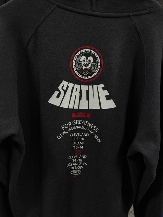 Худи мужское Nike Lebron Pullover Basketball Hoodie Grey DQ6129-032