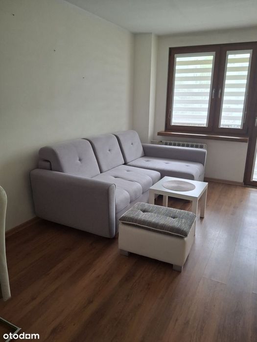 Zarezerwowane! Bezpośrednio 2 pokoje z rozkładowe, Widzew 46 m² - Widok 3