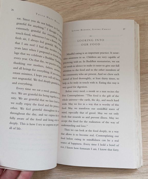 Living Buddha, Living Christ Hanh Thich Nhat buddyzm EN Stan dobry+