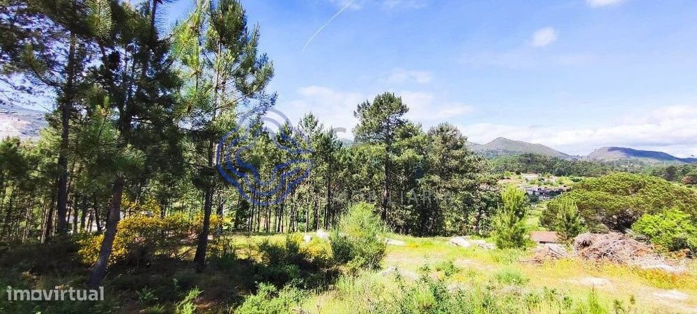 Terreno de 2545 m2   | Com Ruina Moradia T2 e Anexo | Gondomil e Saf — Valença, Cristelo Covo E Arão, Viana do Castelo