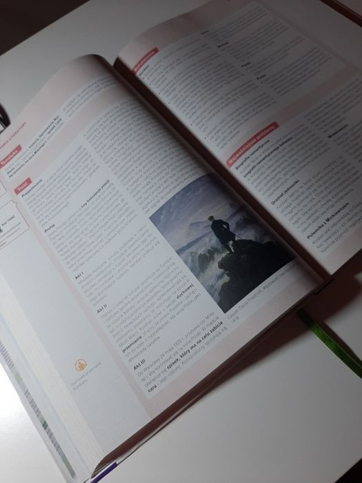 Vademecum Nowa teraz matura język polski Nowa Era