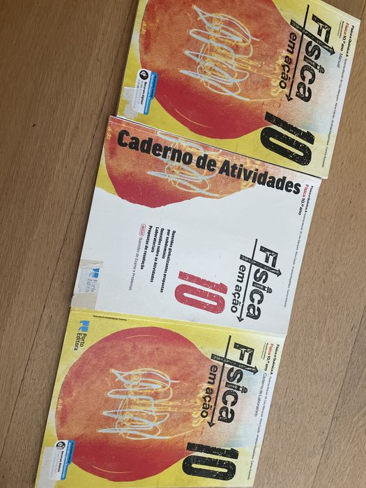 Manual, caderno de atividades, caderno de laboratorio de Fisica 10 ano