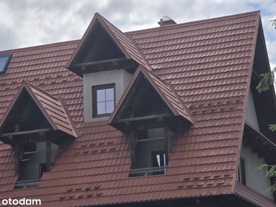Dom z dużą działką