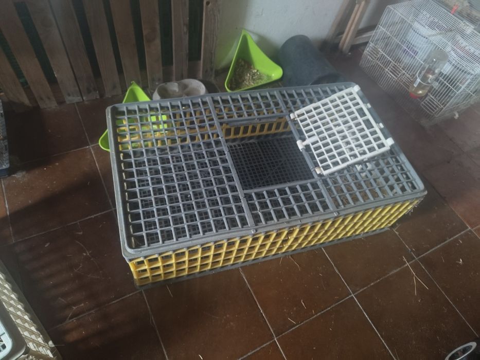 Gaiolas para animais