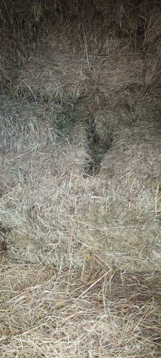 Сіно і солома  в тюках