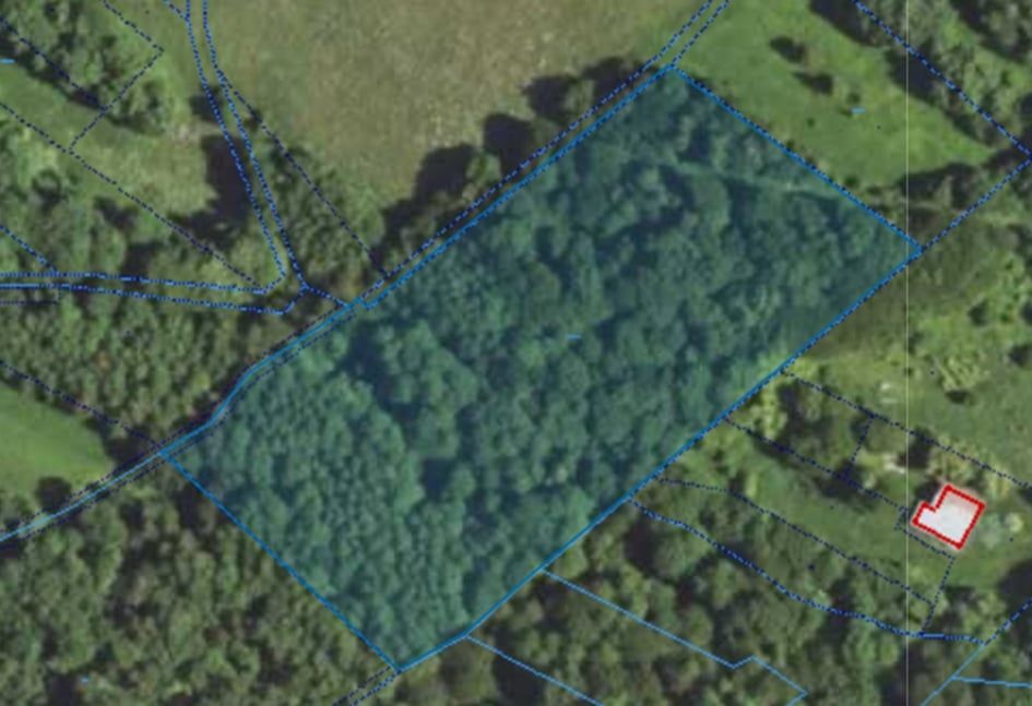 Las mieszany 1,25 ha