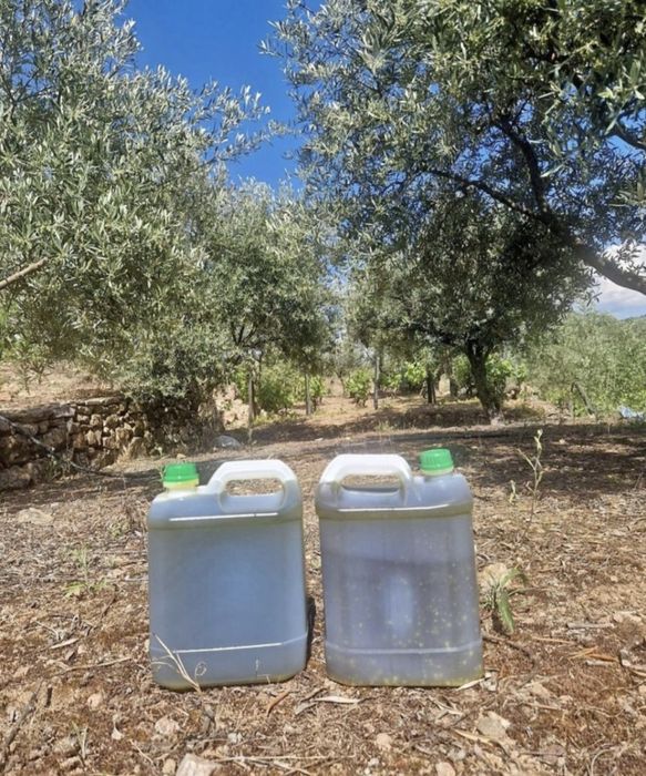 Azeite 0.2 otima qualidade