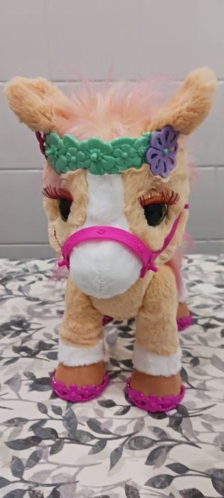 Poney ELegante novo