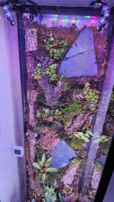 Terrarium tropikalne paludarium bioaktywne