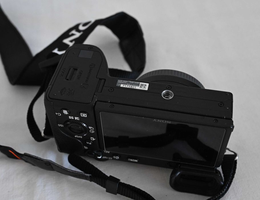Sony Alpha a6600