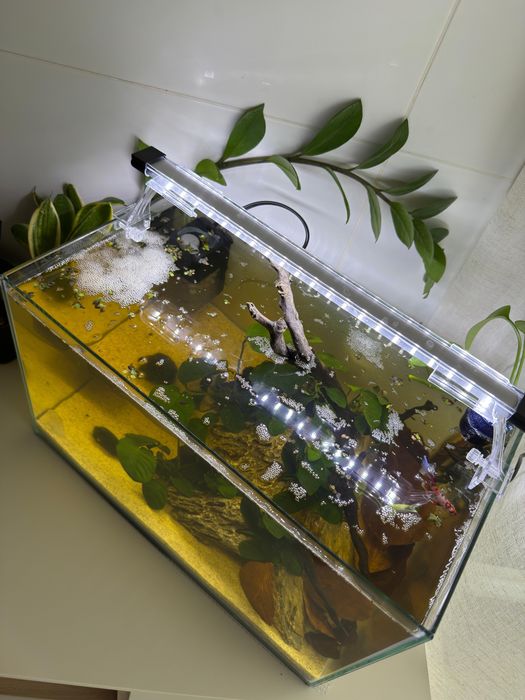 Kit completo - Aquario - Aquascaping 40x23x24