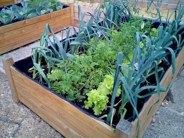 Ziemia uniwersalna 65 do kwiatów i warzyw wysyłka