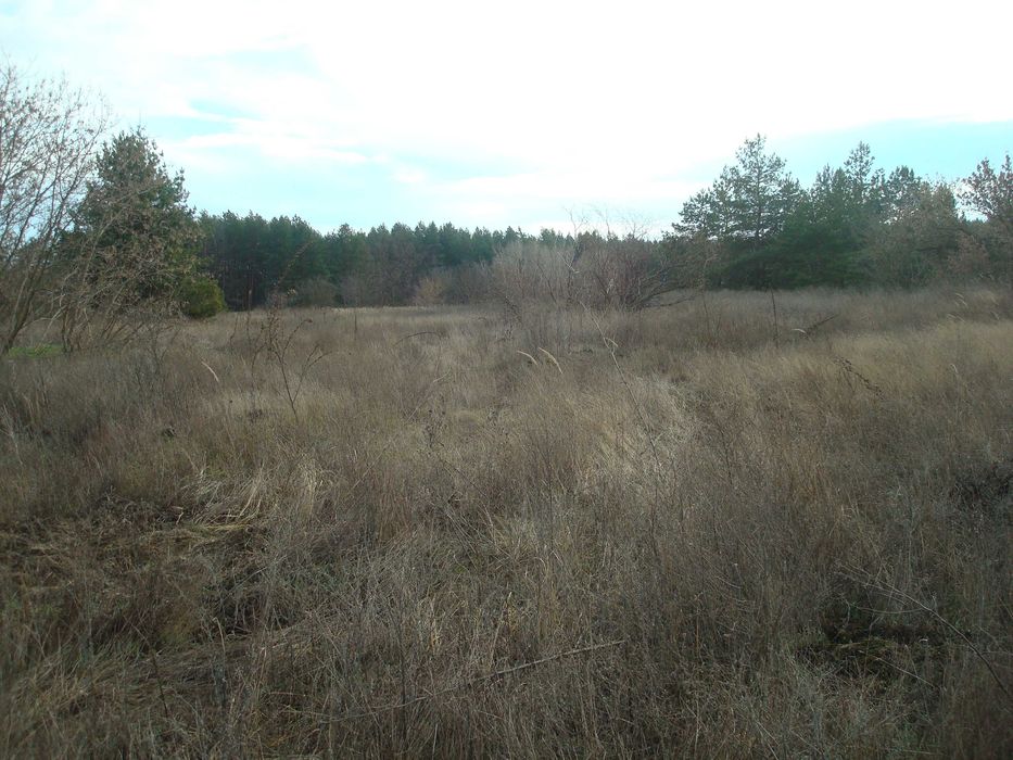 Ціну змінено!!! Продам земельну ділянку під будівництво в с. Чорнявка