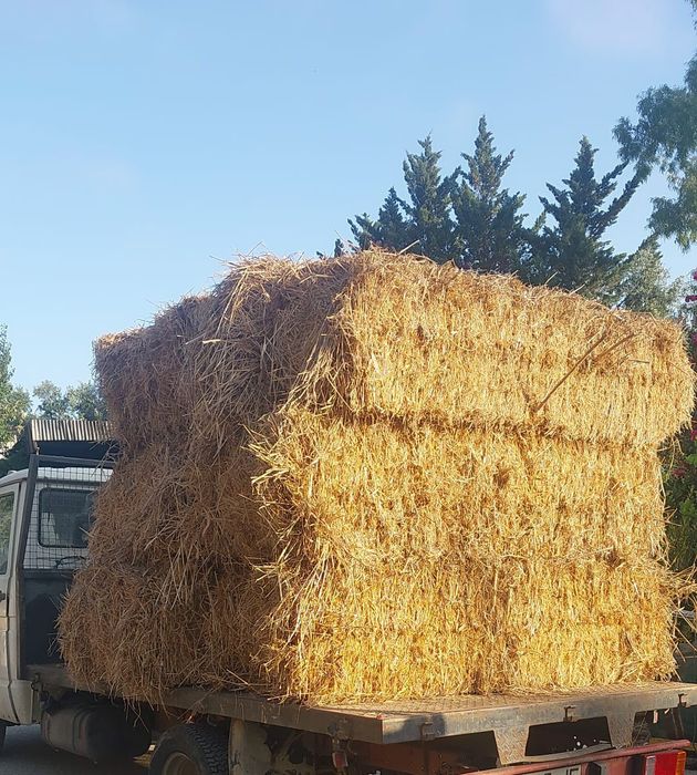 Palha de azevem e de mato fardos grandes