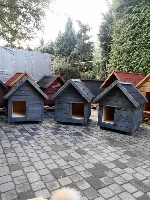 Buda dla psa solidne