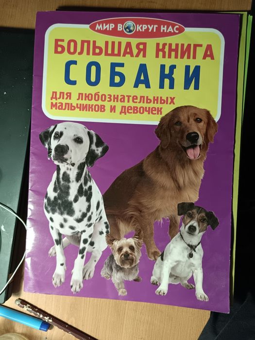 Пізнавальні книжки для дітей