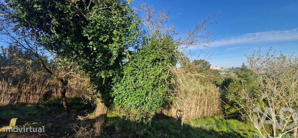 Terreno Agrícola em Mafra