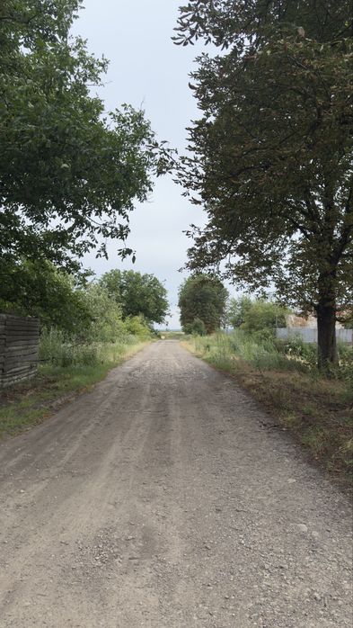 Продаж складського приміщення (колишня ферма) с. Лисятичі