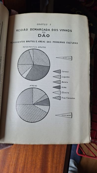 Planificação rede Adegas região demarcada vinhos Dão viseu