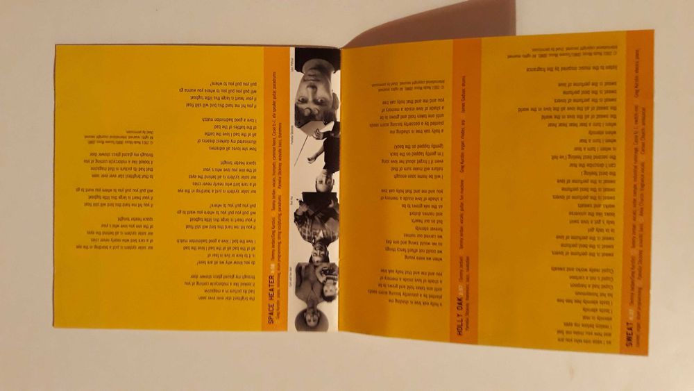 Geggy Tah - " Into the Oh " - CD - portes incluidos