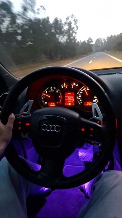 Audi A3 8p 2.0TDI PD170 S-line