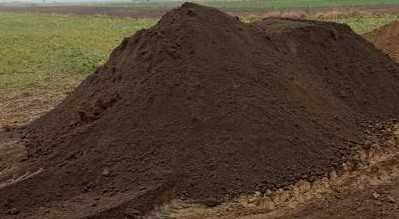 Ziemia do zakładania trawników / ogrodów, Czarnoziem, ziemia ogrodowa