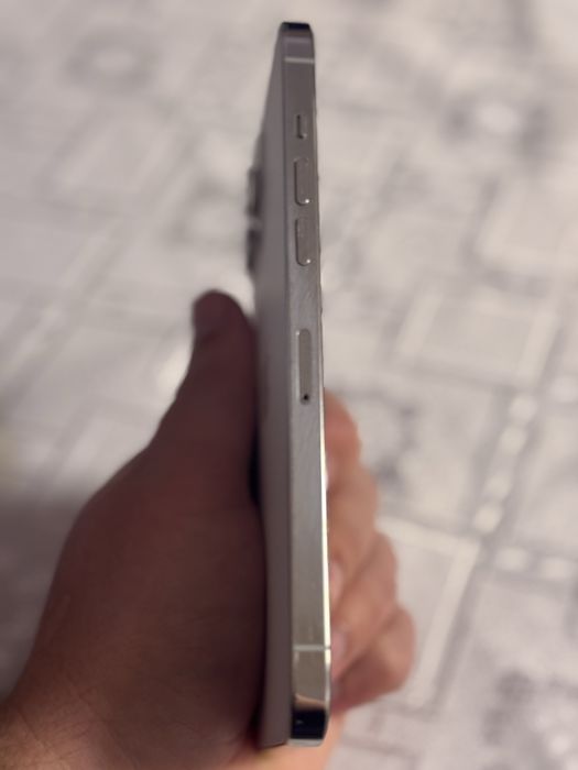 iPhone 12 Pro Max 256 GB Silver Neverlok