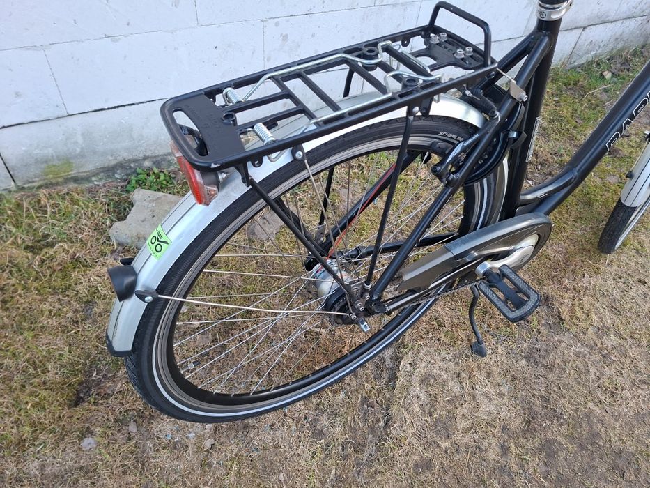 Rower Rabeneick Damski