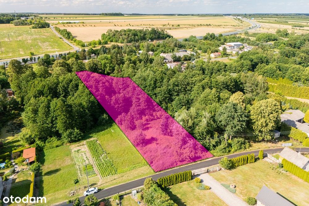 Działka ze stawem poniżej 100 tysięcy - Widok 4